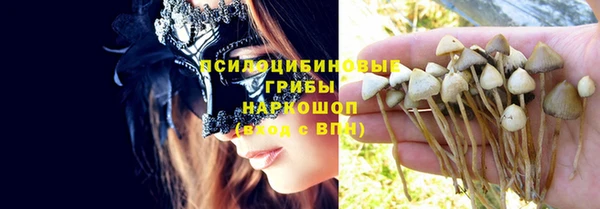 дмт Надым