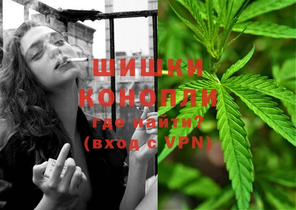 PSILOCYBIN Алексин