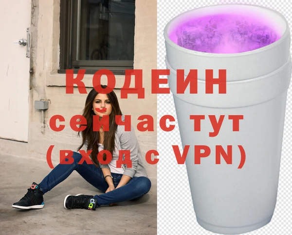 дмт Надым