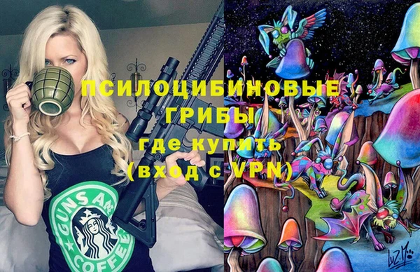 PSILOCYBIN Алексин