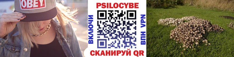 Галлюциногенные грибы ЛСД  Полярные Зори 